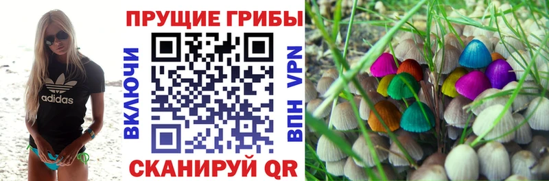 Псилоцибиновые грибы Psilocybe  Заринск 