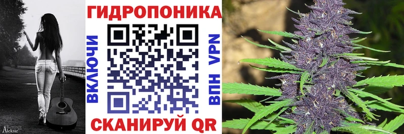 Конопля Bruce Banner  Заринск 